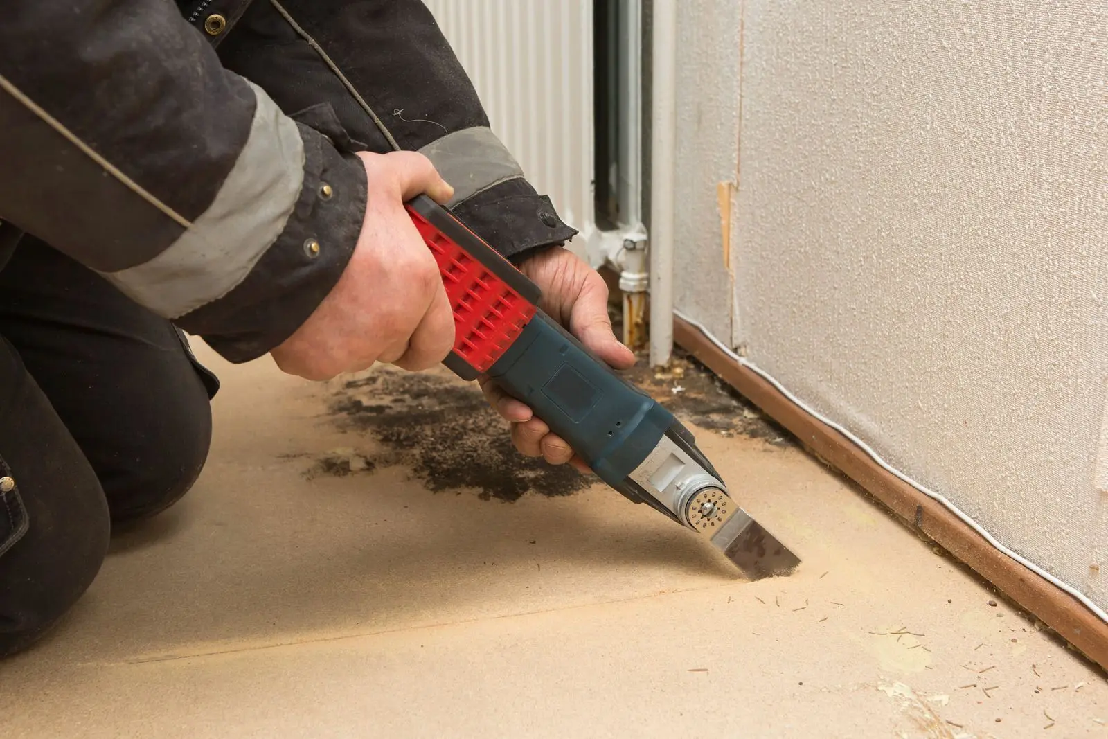 Inspector performing mold testing