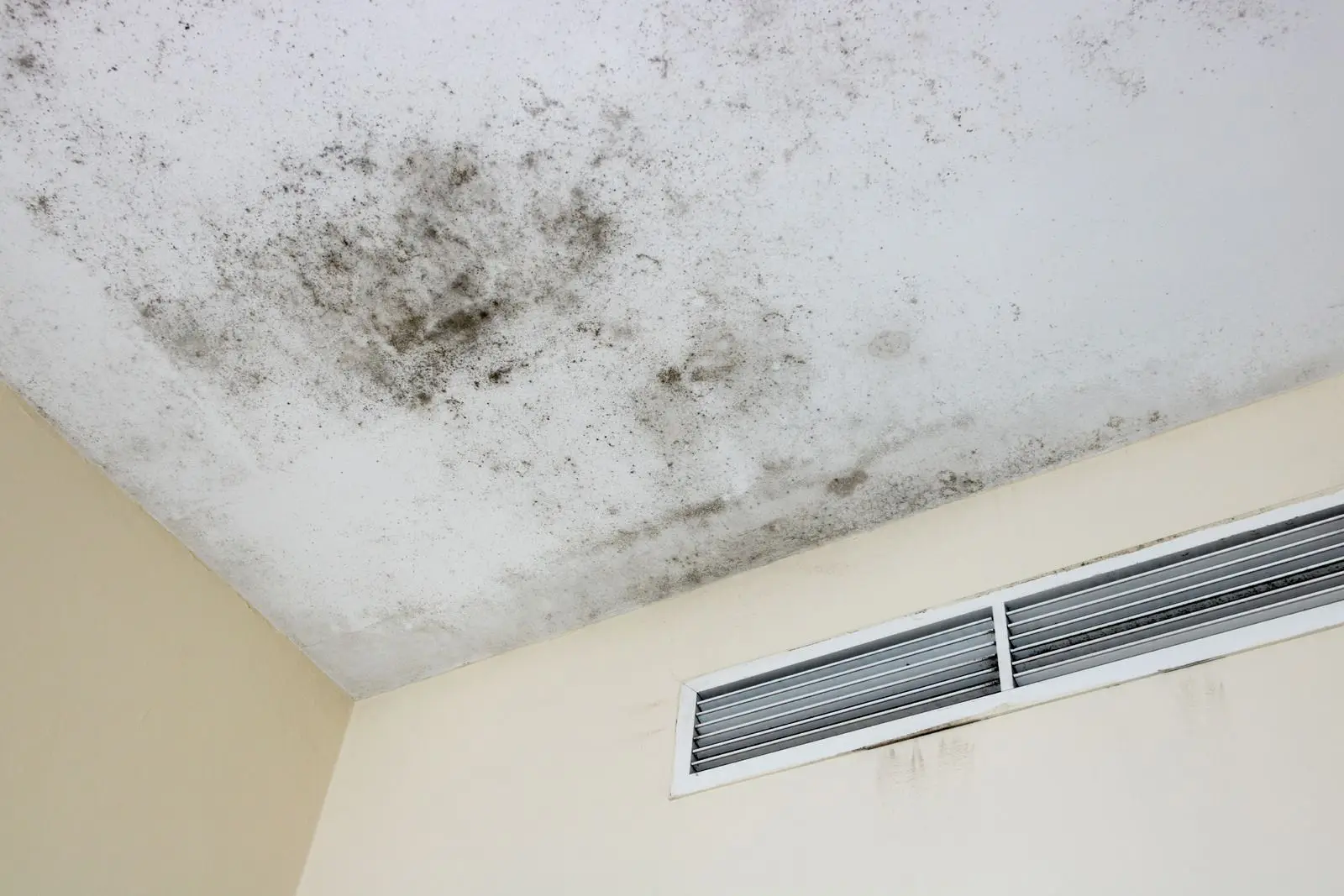 Mold testing evaluation
